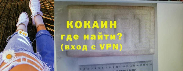 твердый Магас