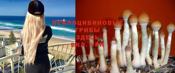 PSILOCYBIN Балахна