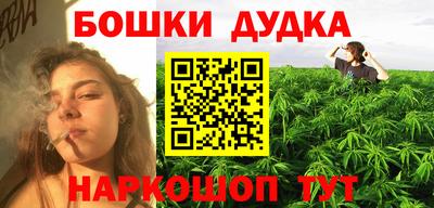 a pvp Новодвинск