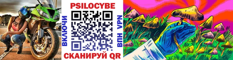Галлюциногенные грибы мицелий наркота Пятигорск