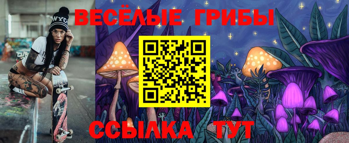 Псилоцибиновые грибы Psilocybine cubensis Пятигорск