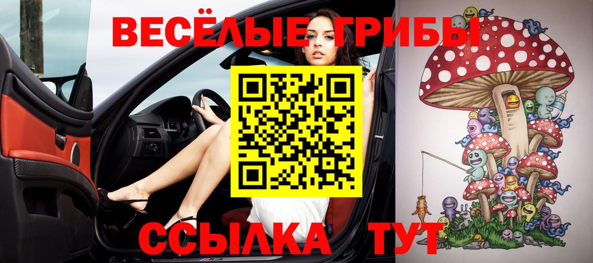 Псилоцибиновые грибы мухоморы  купить   Пятигорск  Вход с VPN  Галлюциногенные грибы GOLDEN TEACHER 